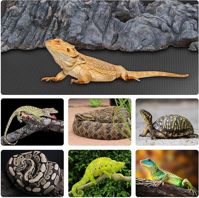 Reptile Mat Liner for 63 Gollon 68 Gollon 70 Gollon 81 Gollon Terrarium, Bearded Dragon Tank liners 20" Wide, Substrate flooring for Reptile Enclosure, Reptile Bedding Carpet for Leopard Gecko, Black