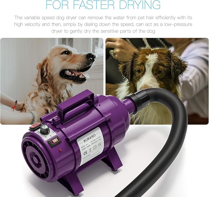 Burano Dog Dryer, High Velocity Pet Hair Dryer, 4.3HP Stepless Adjustable Speed Dog Hair Force Dryer for Dogs, Cats & More, Powerful Pet Blower with Heater