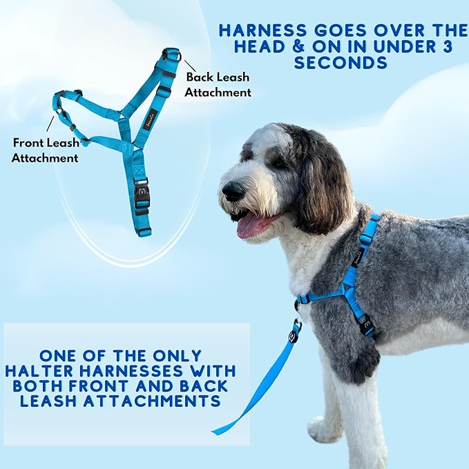 ShawnCo Dream Walk No-Pull Dog Harness- Adjustable, Comfortable, Easy to Use Pet Halter to Help Stop Pulling for Small, Medium and Large Dogs (Driftwood, S)