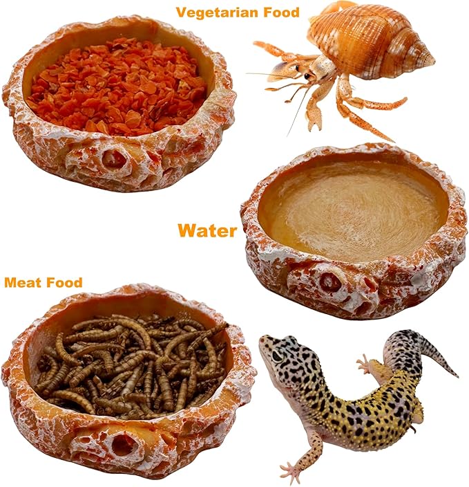 3 Pack Small Reptile Food and Water Bowls, Reptile Feeding Terrarium Bowls for Bearded Dragon Lizard Frog Gecko Tortoise Hermit Crab Snail (Orange B)