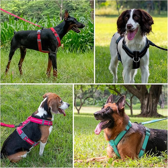 Plutus Pet No Pull Dog Harness, Adjustable Nylon Harness with Soft Padding, Reflective and Heavy Duty Dog Harness for Small, Medium, Large Dogs(Orange, M)