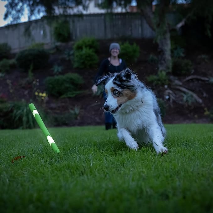 Chuckit! Max Glow Ultra Fetch Stick Outdoor Dog Toy, 12 Inches, for All Breed Sizes
