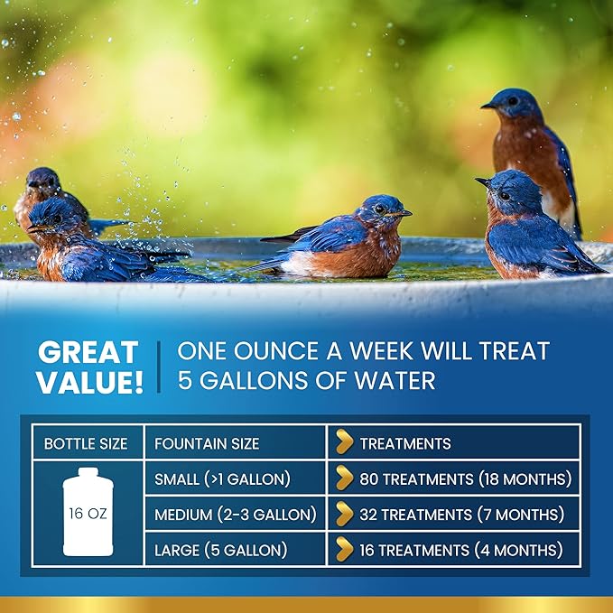 Bird Bath Cleaner for Outdoor Fountains and Bowls, Safely Cleans Metal, Glass and Stone (8oz)