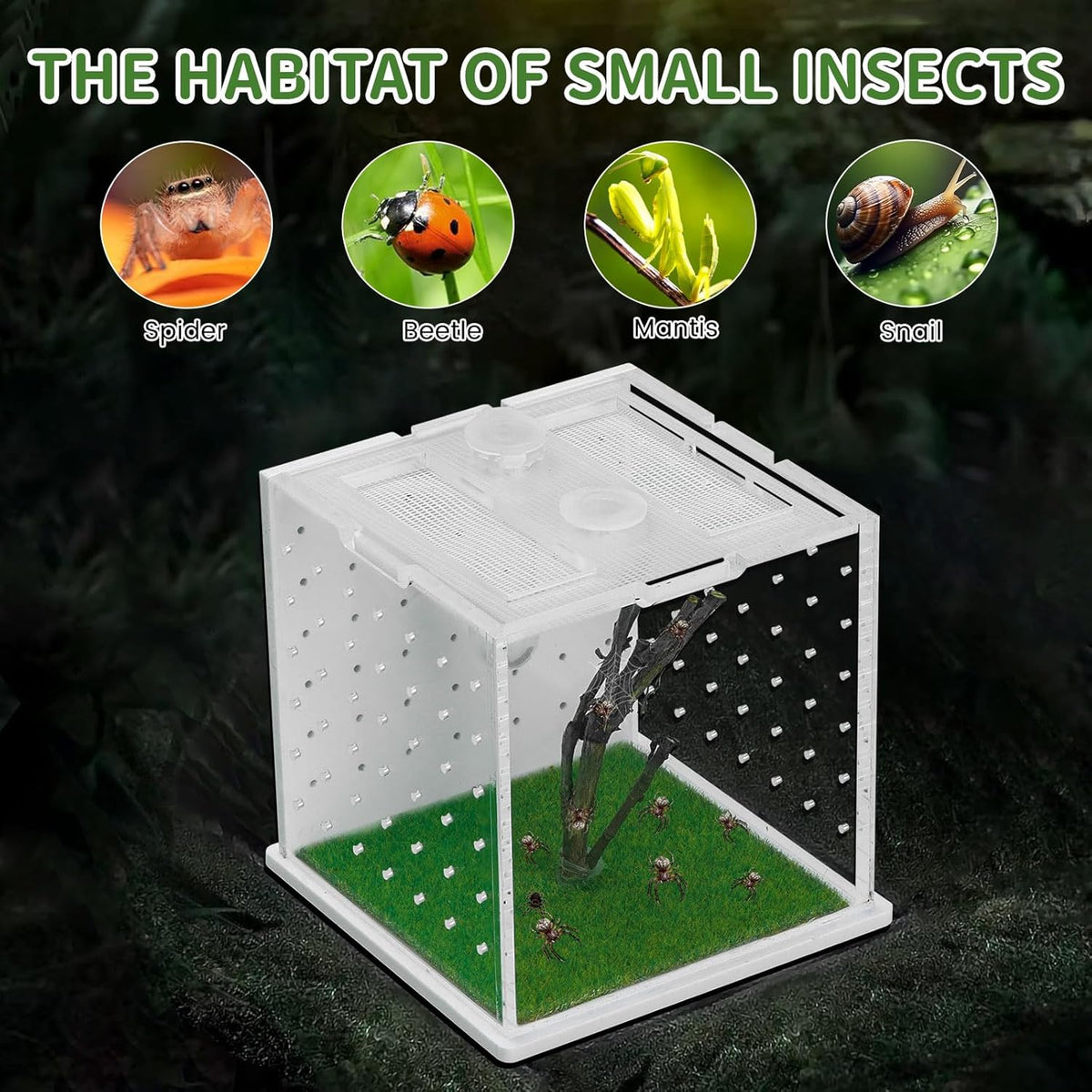 Acrylic Jumping Spider Enclosure, 2.95×2.95×2.87in Transparent Reptile Terrarium, Versatile Tarantula Enclosure for Small Reptiles/Insects, Small Reptile Tank with Dropper, Jumping Spider Accessories