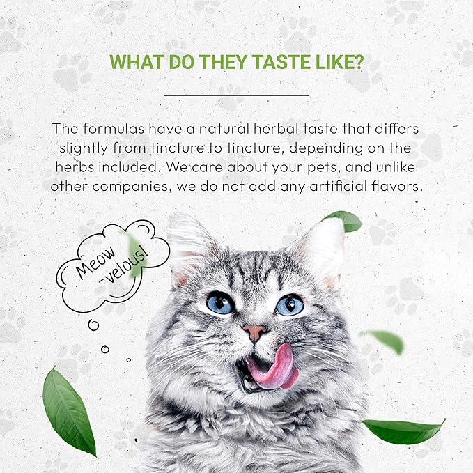 Lion's Heart | Natural Herbal Dietary Supplement for Cats | Healthy Heart Function Support in Cats | Alcohol-Free Extract, Dandelion Root, Lemon Balm, Calendula, Lavender, Fennel 2 oz