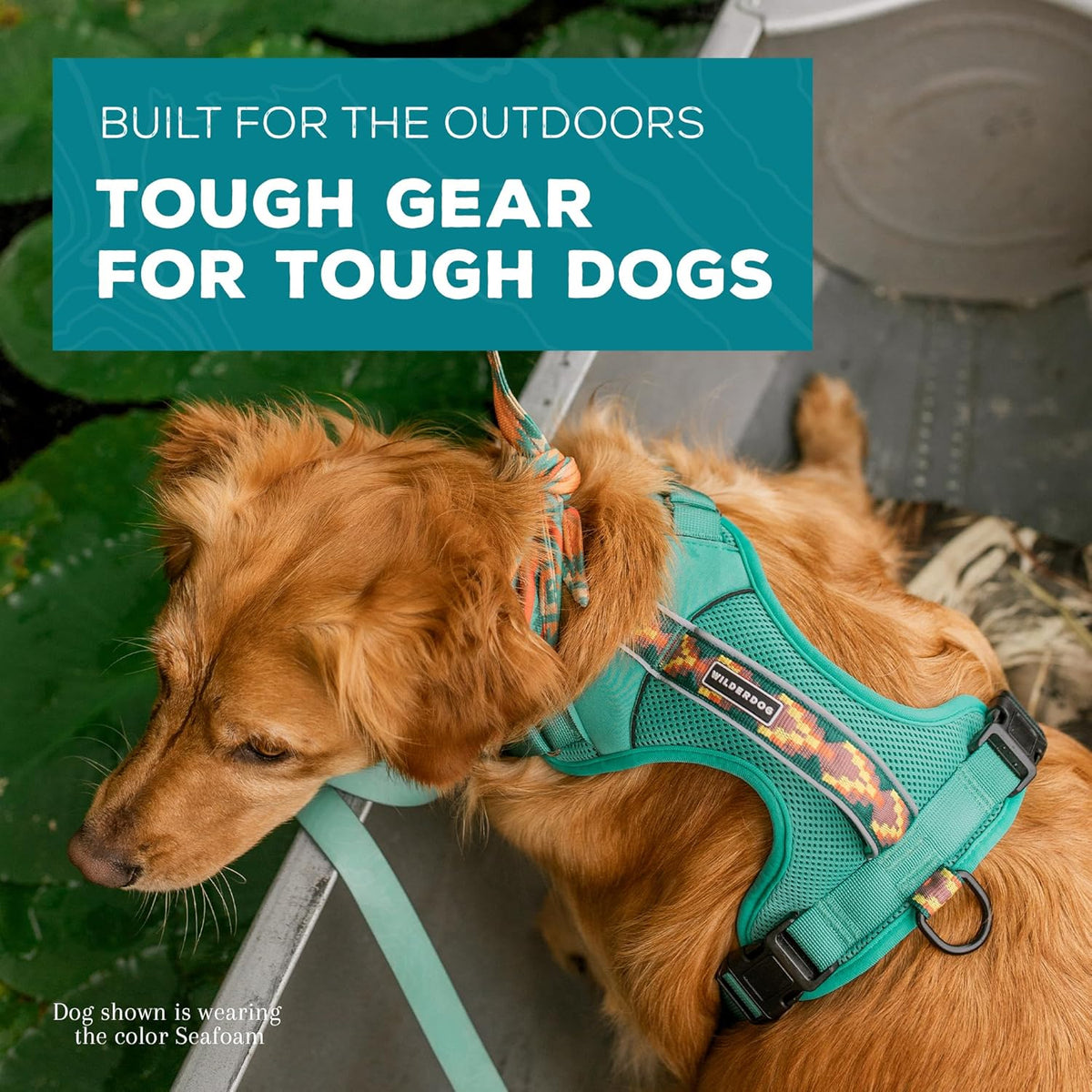 Wilderdog Lightweight Dog Harness with Reflective Straps - Medium - Seafoam
