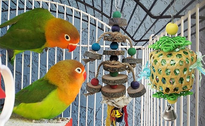 Bird Toys for Conures Parakeet, Birds Cage Accessories, Bird Shredding Foraging Toys for Cage
