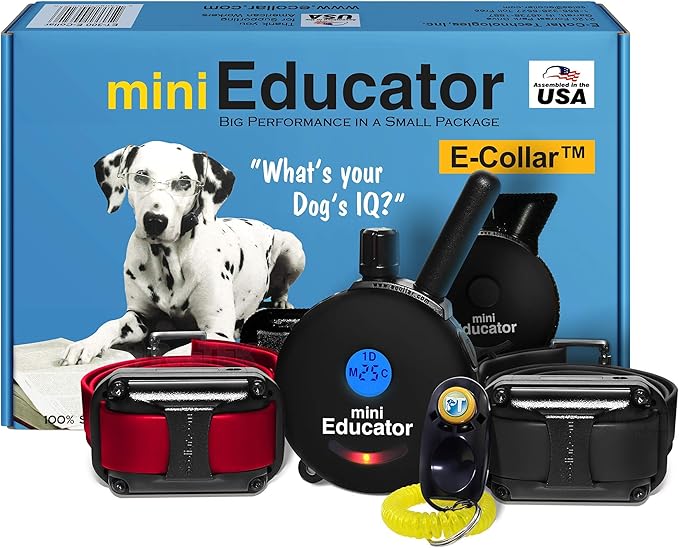 Educator ET-302 Black Mini E Collar for Dog Training with Remote - 1/2 Mile Range, Waterproof, 100 Blunt Stimulation Levels, Tone or Vibration Mode, Night Light for Small, Medium & Large Dogs (2 Dogs)