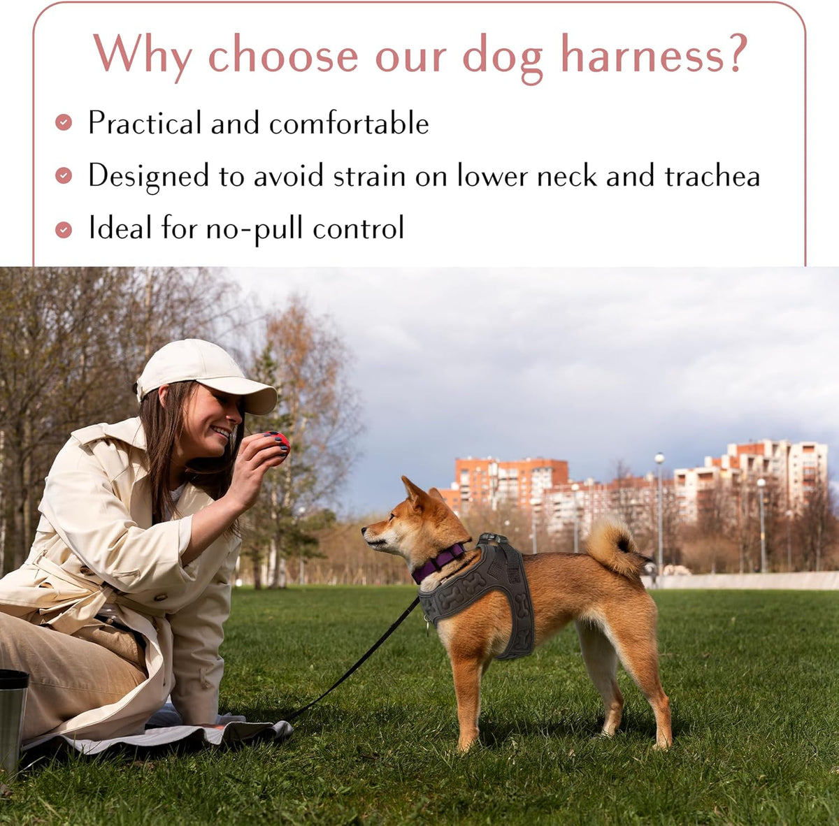 Comfort fit Step-in Dog & Puppy Harness - Comfortable All Weather Dog Vest Harness: Adjustable, Soft Padded, Easy to Put-on for Small, Medium-Sized Dogs.