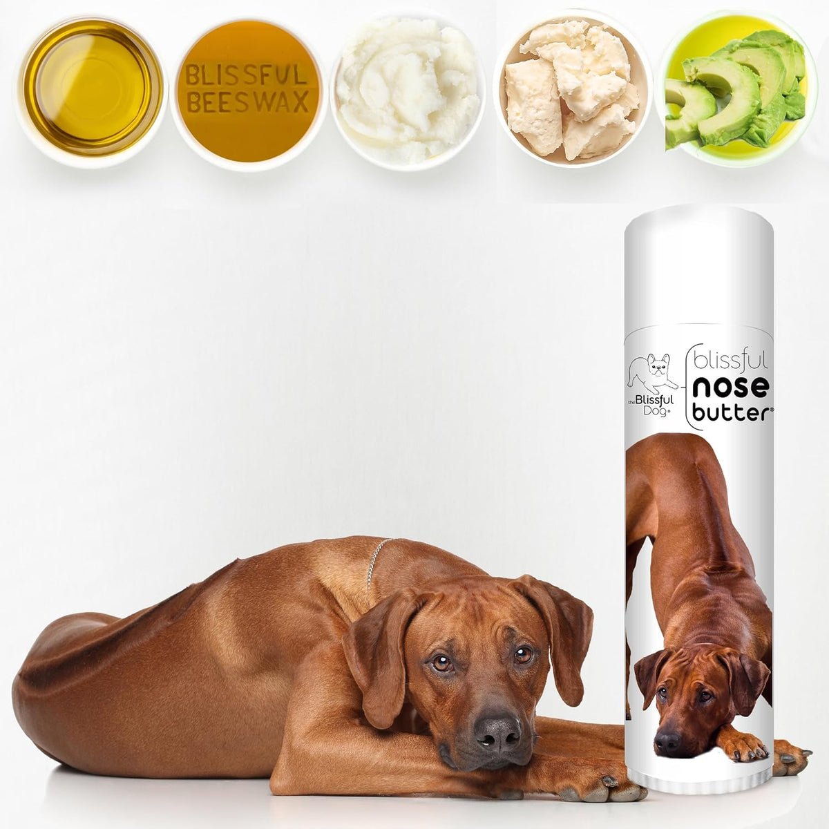 The Blissful Dog Rhodesian Ridgeback Unscented Nose Butter - Dog Nose Butter, 0.50 Ounce