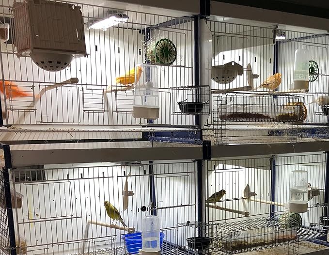 HappyBird Lightning (A Divison of M&M Cage) 8" LED linkable Light bar Without Power Source for Multiple Bird Breeder Cages, Full Spectrum LED. Will NOT Run ON ITS OWN (Single)