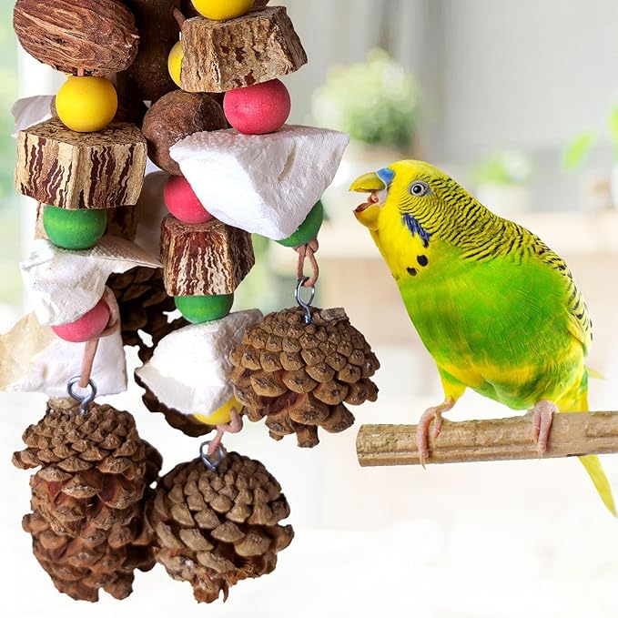 kathson Parrot Chew Toys, Medium Size Natural Wooden Bird Toys with Colorful Blocks, Hanging Bird Cage Accessories for Cockatiels, Conure, Cockatoos, 2 Pack (Style B)