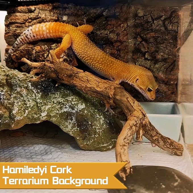 6PCS Cork Terrarium Background 15.7x11.8in Natural Large Cork Bark Backdrop Reptile Climbing Mat Tank Habitat Decor for Spider Lizard Chamelon Turtle Beared Dragon