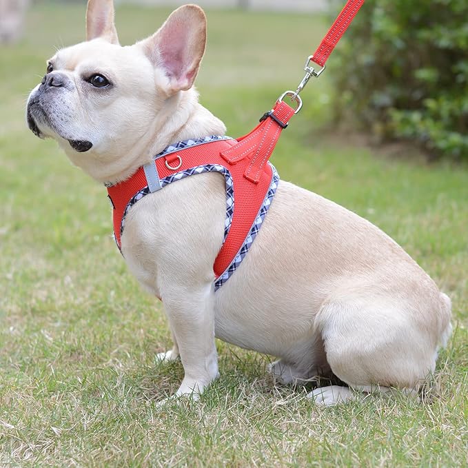 Mercano Soft Mesh Dog Harness and Leash Set, No-Chock Step-in Reflective Breathable Lightweight Easy Walk Vest Harnesses with Safety Buckle for Small Dogs, Cats (Red, S)