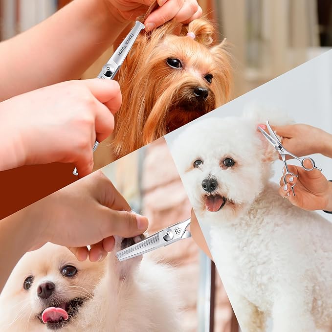 Dog Grooming Scissors: 3 in 1 Pet Shears Set Made Of Advanced Stainless Steel Alloy for Trimming Dogs Cats and Other Pets Face and Paws