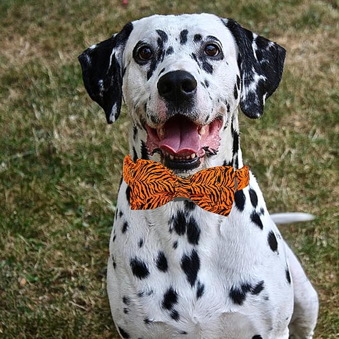 Elegant Little Tail Tiger Print Dog Collar, Large, Cotton, Unique Seasonal Design, Buckle Closure, Adult, Large Breed