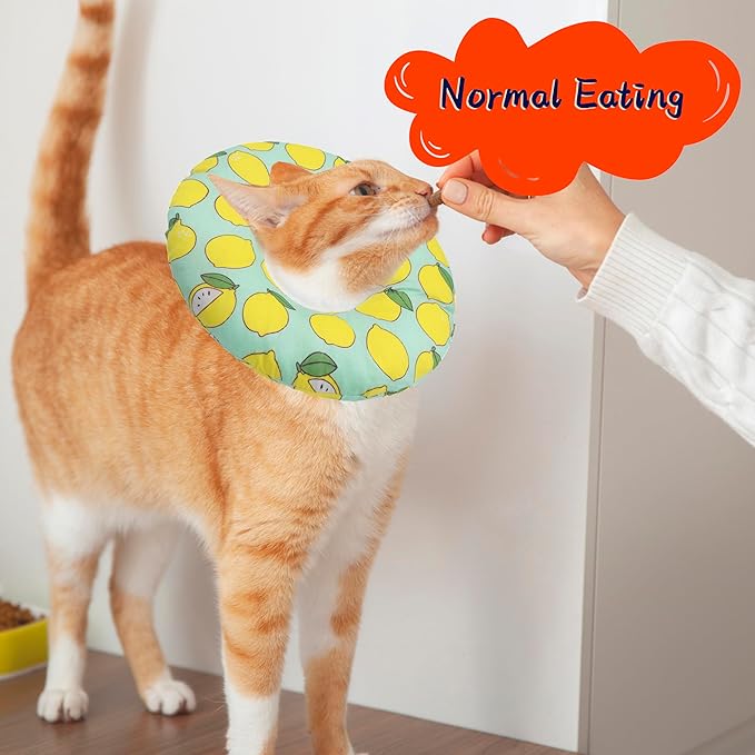 Cat Cone Collar Soft, Adjustable Cat Recovery Collars to Prevent Licking, Cute Donut E Collar After Surgery, Wound Healing Elizabethan Collar for Kittens(Green Lemon, Large)