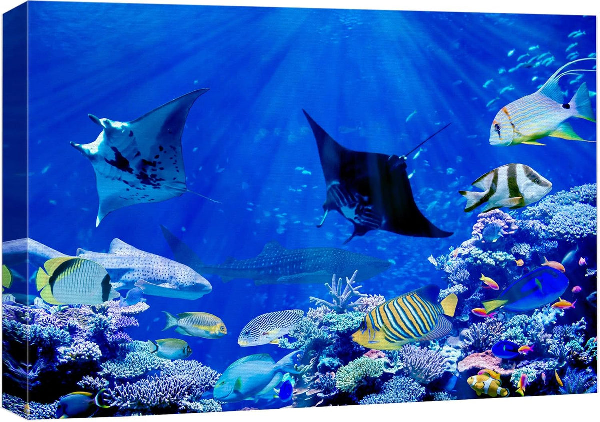 wall26 Canvas Print Wall Art Vibrant Sunlight Ray Ocean Shark Fish Reef Nature Animals Photography Realism Rustic Scenic Landscape Wilderness Earth for Living Room, Bedroom, Office - 16"x24"