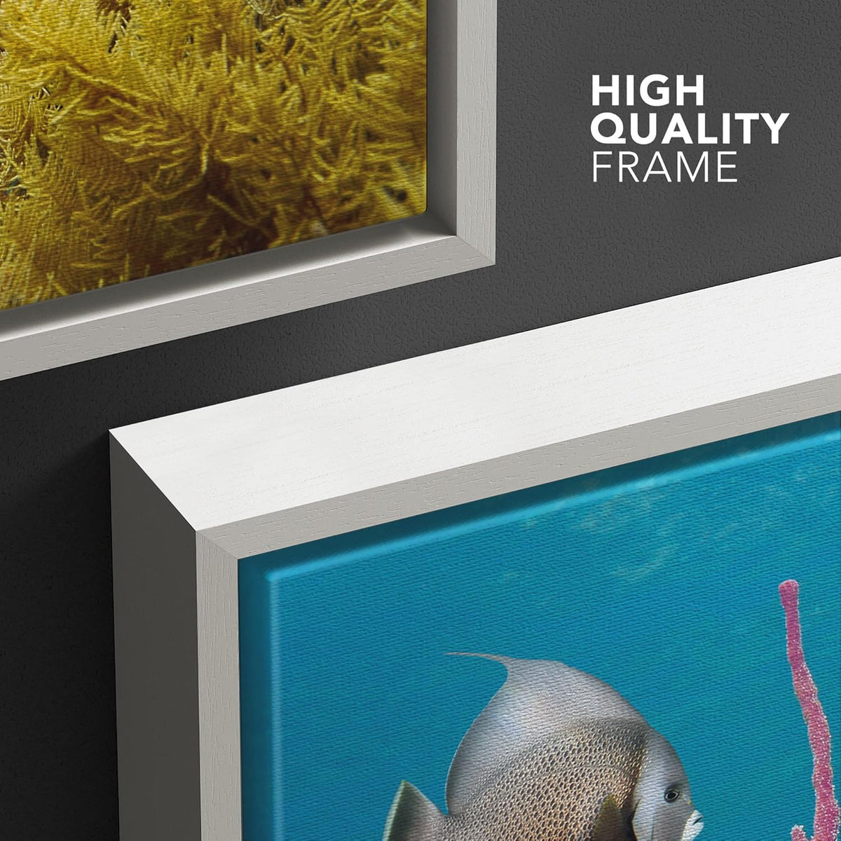 wall26 Framed Canvas Print Wall Art Deep Sea Marine Fish with Coral Reef Nature Ocean Photography Realism Nautical Scenic Relax/Calm Multicolor Ultra for Living Room, Bedroom, Office - 16"x24" White