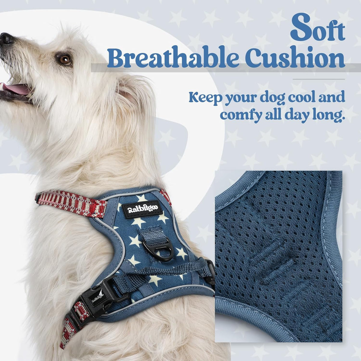 rabbitgoo Dog Harness No Pull with 2 Leash Clips, Adjustable Soft Padded, Reflective Oxford No Choke Pet Vest with Easy Control Handle for Large Dogs, Blue Star, XS