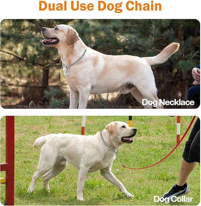 TagME Chain Choke Collar for Dogs, Adjustable Weather Proof Necklace for Medium Large Dogs, Alloy Steel Pet Training Collar