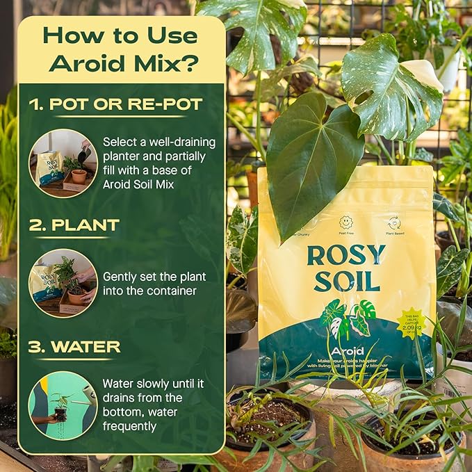 Rosy Soil Aroid Soil Potting Mix - Peat-Free, Microbially Active Biochar Powered Soil for Aroids - Superior Aeration & Drainage for Aroid Plants - Ideal for Indoor Gardening - 4 Quarts