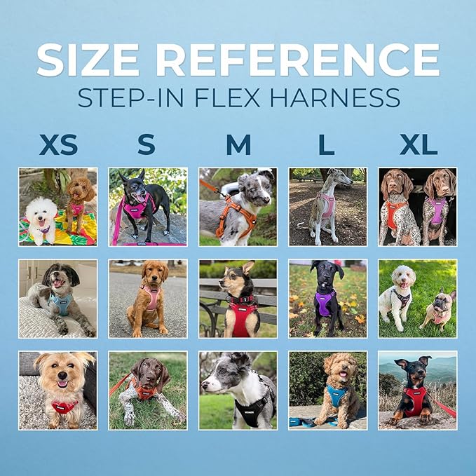 Best Pet Supplies Voyager Adjustable Step-in Flex Breathable Mesh Dog Harness for Small Medium Large Dogs (Lavender), M