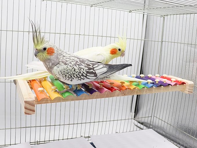 Dnoifne Colorful Bird Xylophone Toy, Funny Xylophone Toy with 16 Metal Keys, Cage Accessories for Chicken Chick Birds Parrots Parakeets Cockatiels Budgies Love Birds