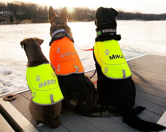 Custom Reflective Dog Vest Personalized High Visibility Reflective Jacket for Your Puppy Hunting Safety Gear with Elastic Strap & Clasp, Comfortable, Perfect for Day and Night Walks!