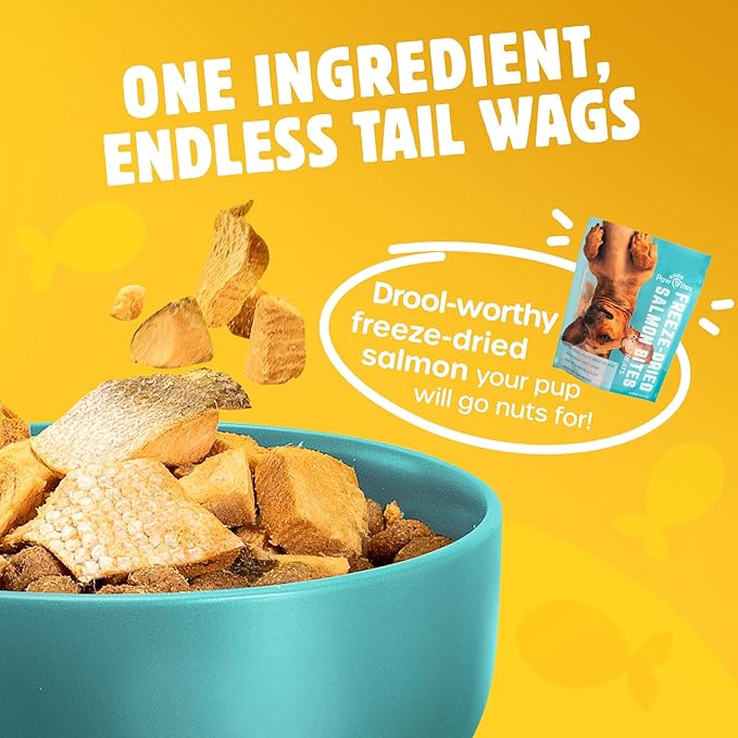 Freeze Dried Dog Treats - Wild Caught Salmon - Dog Food Dry Snacks - with Protein & Omega 3s - for All Breeds & Sizes - No Artificial Flavors & Dyes, No Preservatives - 1 Pouch, 4 oz