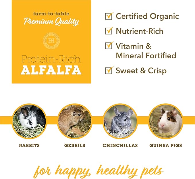 Bunny Honey Organic Alfalfa Hay for Young Rabbits, Guinea Pigs & Small Pets High - Protein & Calcium, Supports Growth & Dental Health, Fresh & Nutritious