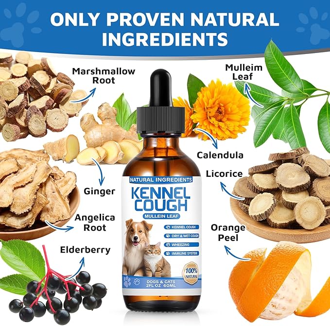 Kennel Cough Herbal Drops for Dogs & Cats,Dog Cough Treatment,Dog Cough Suppressant,Kennel Cough for Dogs,Coughing Treatment Liquid,Cough Treatment for Cats,Natural Cough Supplement for Cat