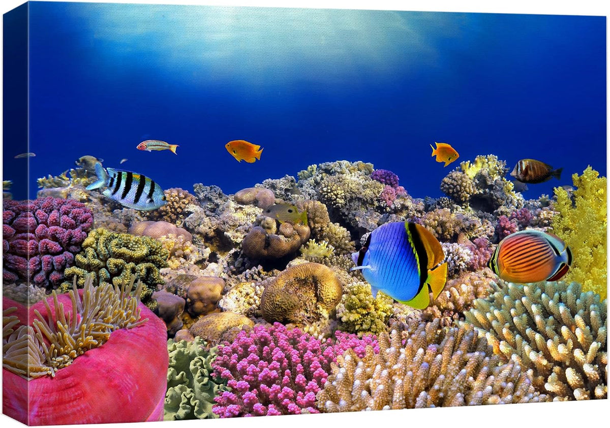 wall26 Canvas Print Wall Art Vibrant Coral Reef Anemone Fish Ecosystem Nature Animals Photography Realism Rustic Scenic Landscape Wilderness Earth Colorful for Living Room, Bedroom, Office - 24"x36"
