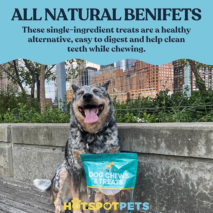 hotspot pets Beef Lung Dog Treats -1 Pound Big Bag - Slow Roasted, All Natural Dehydrated Premium Beef Lung Training Treats for Dogs - High Protein- Rawhide Alternative Snack for All Breeds