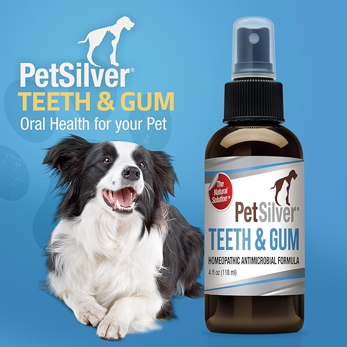 PetSilver Teeth & Gum Spray - Dog Dental & Teeth Cleaning Spray for Plaque & Tartar Build-Up Reduction - Natural Breath Freshener for Dogs and Cats - Patented Chelated Silver - Made in The USA - 4 oz