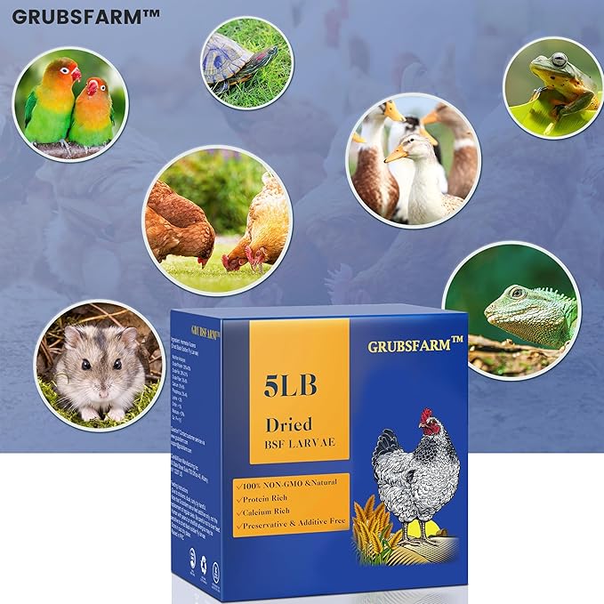 Superior to Dried Mealworms for Chickens 5lb - 85X More Calcium Than Mealworms - Non-GMO Chicken Feed - Molting Supplement - BSF Larvae Treats for Hens, Ducks, Turkeys, Wild Birds, Quails