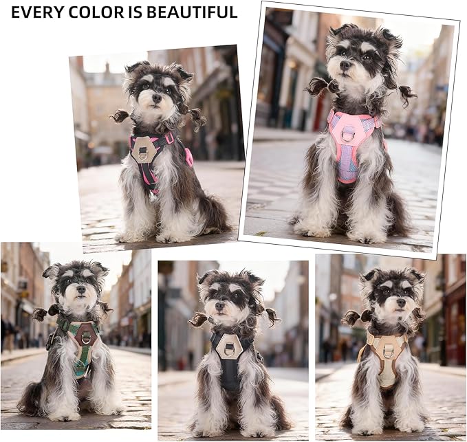 Small Dog Harness and Leash Set, Breathable Mesh Puppy Harness, Adjustable Dog Harness for Small Medium Large Dogs, No-Pull Pet Harness for Daily Walking (Black, Small)