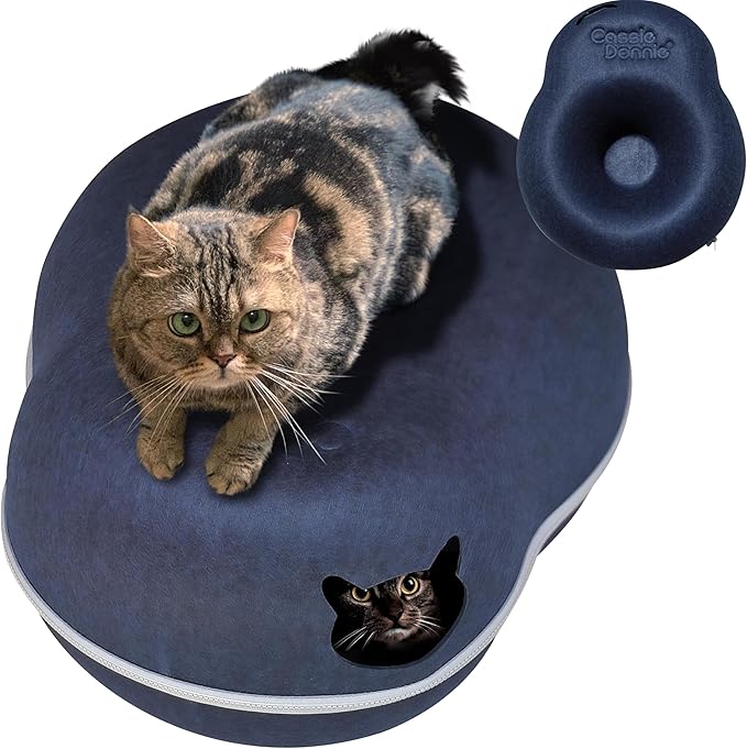 Cat Tunnel Bed for Indoor Cats, Medium Large, Donut Cave House up to 22 Lbs, Spacious for 2 Kittens (Dark Blue)