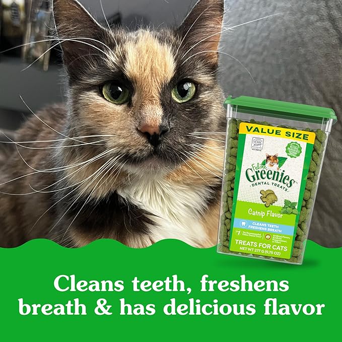 Greenies Feline Adult Dental Cat Treats, Catnip Flavor, 9.75 oz. Tub