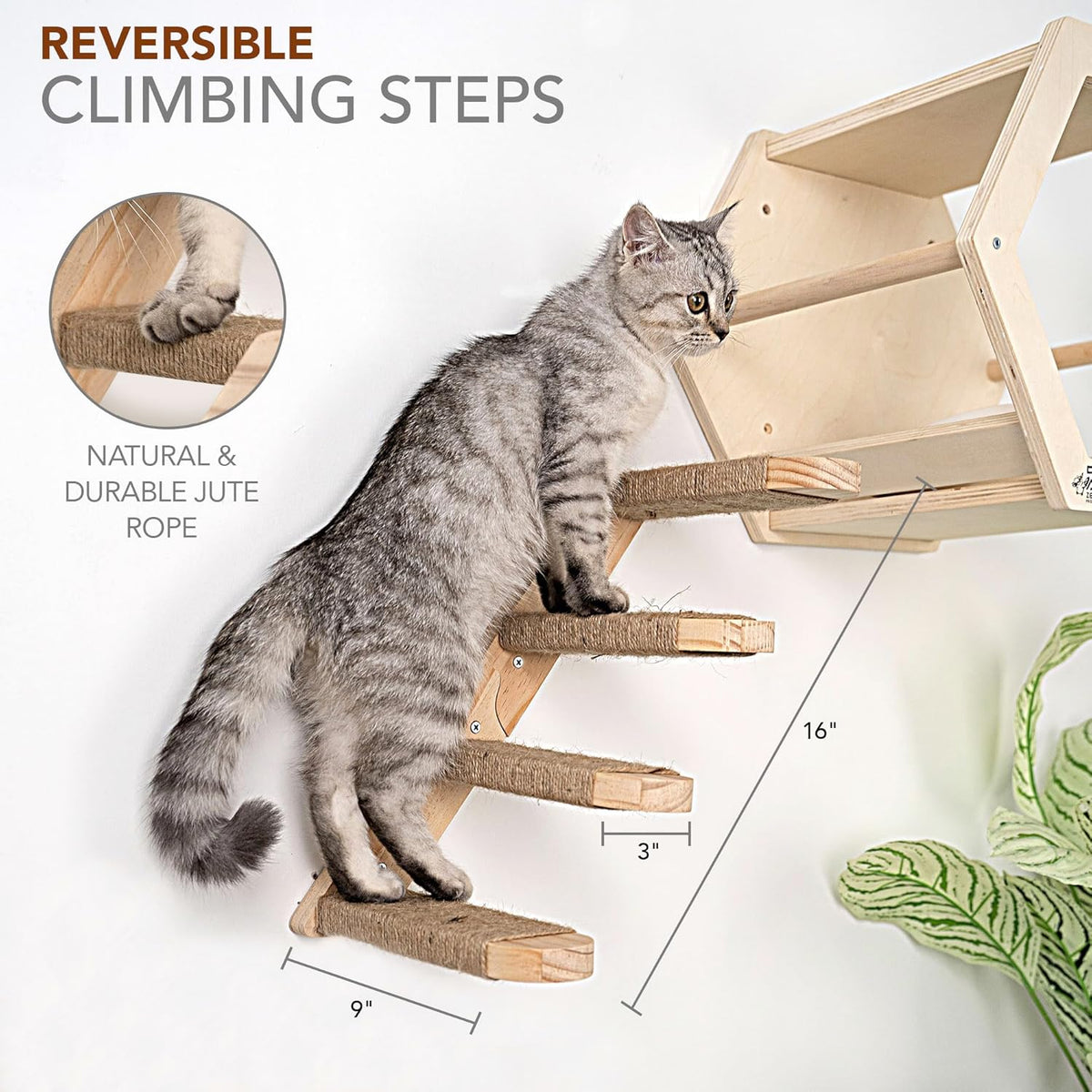 3-Piece Cat Wall Furniture Set - Hammock, Hexagon House, Climbing Steps - Wall Mounted Shelves, Perches, and Beds - Modern Design for Large Cats and Kittens & Spare Hammock Fabric Included