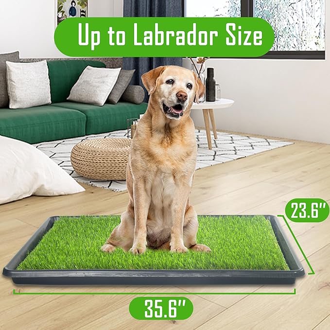Reusable Dog Loo System with Artificial Grass Turf&Pee Pads&Tray, for Puppy Potty Training is Portable&Easy to Clean,35x23in Large Dog Litter Box Toilet for Indoor/Outdoor use(35.6''x23.6'')