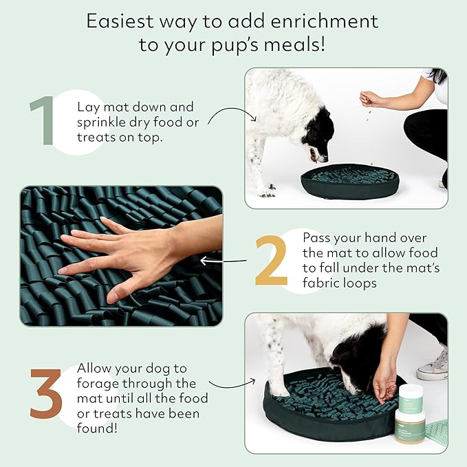 Reggie Stimulating Feeder Mat for Dogs | Relieve Speed Eating, Boredom, Stress | Vet-Approved & Ideal for All Ages, Dog Breeds, and Sizes (Hunter Green Feeder Mat)
