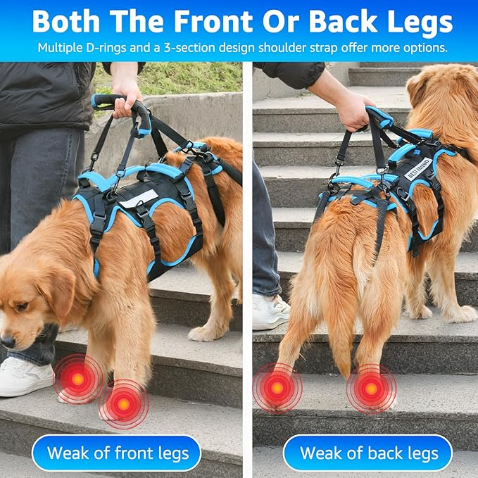 Dog Lift Harness for Large Male Dogs, 2-in-1 Detachable Support Harness, Full Body Carrying with 4 Handles, Dog Sling for Large Dogs Hind Leg Support(Black, X-Large)