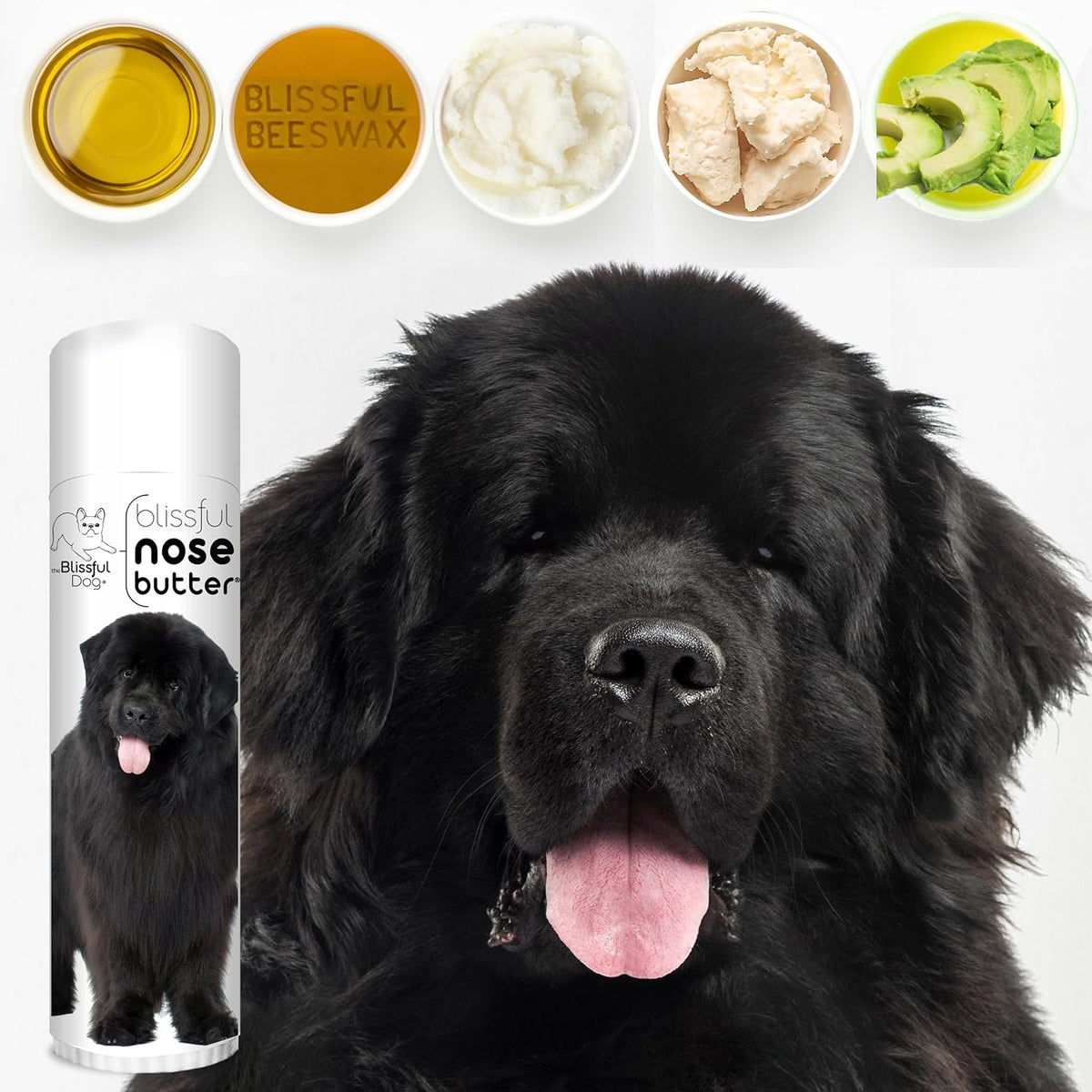 The Blissful Dog Newfoundland Unscented Nose Butter - Dog Nose Butter, 0.50 Ounce