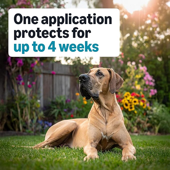 Amazon Basics Preventative Flea, Tick & Mosquito Topical Treatment for X-Large Dogs (Over 55 pounds), 6 Count, Packaging May Vary