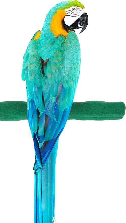 Comfort Grip Safety Perch for Bird Cages - Pedicure Perch for Birds to Keep Nails and Beaks in Top Condition - Safe Easy to Install Bird Cage Accessories - L 13"