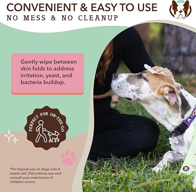 Natural Dog Company XL Grooming Wipes for Dogs – Hypoallergenic, Biodegradable, Fragrance Free – Aloe Vera & Witch Hazel – 7×8 Wipes for Paws, Face, Ears & Butt – Sensitive Skin Pet Wipes - 50 Count