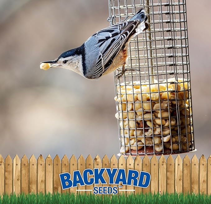 CountryMax Backyard Seeds Shelled Whole Peanuts for Woodpeckers, Birds, Squirrels & Wildlife – Premium Wild Animal Food, 10 lbs Bag