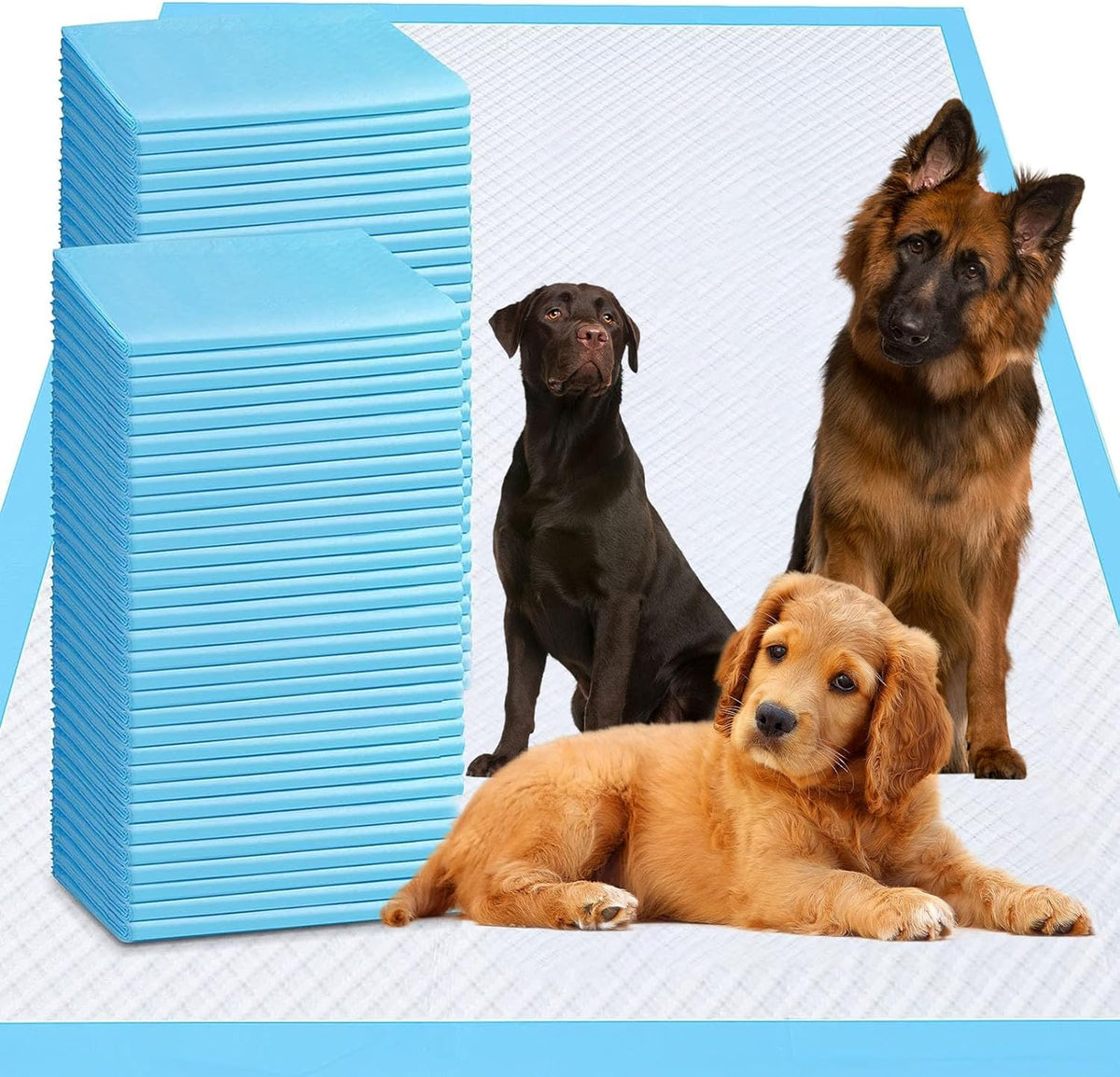 XXXL Puppy Pee Pads for Dogs 36"x36" 40 Count, Extra Large Dog Pee Pads, Leak-Proof & Super Absorbent Dog Pee Pads, Thicken Disposable Potty Pads Puppy Training Pads for Cats Rabbits