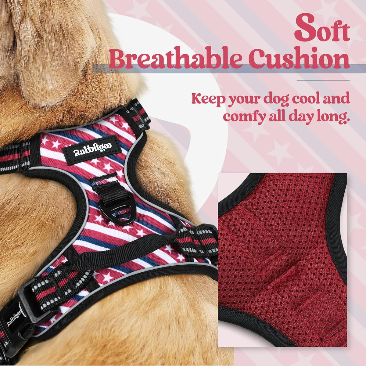 rabbitgoo Dog Harness No Pull with 2 Leash Clips, Adjustable Soft Padded, Reflective Oxford No Choke Pet Vest with Easy Control Handle for Large Dogs, Red Stripe, M